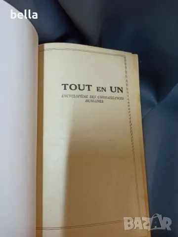 Френска илюстрована енциклопедия Larousse Tout En Un твърди корици 1921 год ., снимка 4 - Енциклопедии, справочници - 48688964