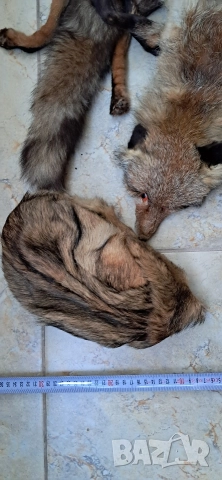 Кожа шал от лисица , снимка 18 - Антикварни и старинни предмети - 52920531