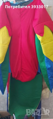 Папагал, снимка 1