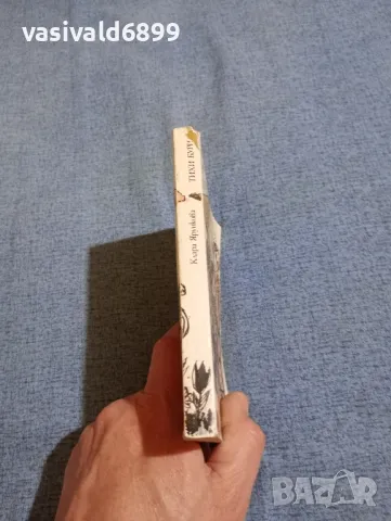 Клара Ярункова - Тихи бури, снимка 2 - Художествена литература - 49979734