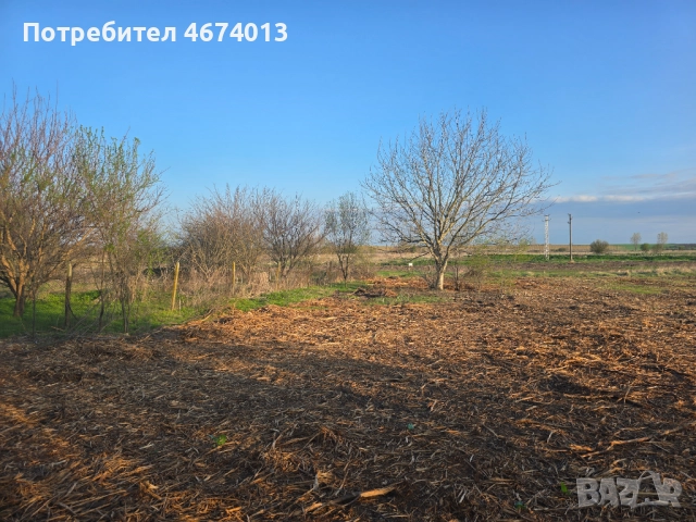 Парцел, 2818 кв.м. Област Русе, с. Ряхово, снимка 2 - Парцели - 52725639