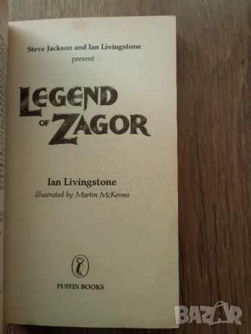 Книга-Игра - Fighting Fantasy(Битки Безброй): Legend of Zagor, снимка 5 - Детски книжки - 53772816