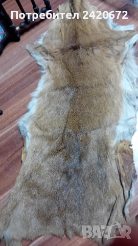 еленова кожа-изгодно, снимка 4 - Други ценни предмети - 52082864