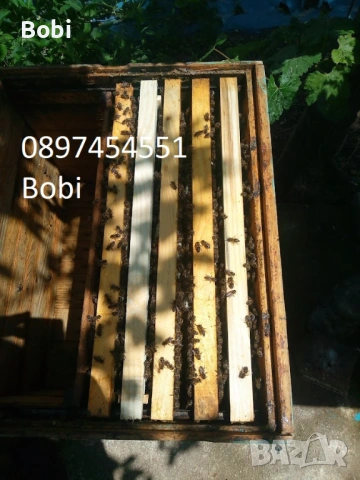 Малки Пчелни Семейства Отводки