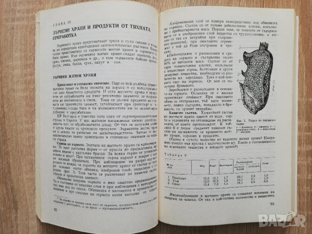 Материалознание на хранителните продукти, А. Андреев, Д. Колев, снимка 2 - Специализирана литература - 52206422
