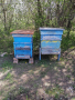 Продавам пчелни кошери , снимка 6