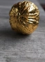 Орех с 24к златно покритие , снимка 4