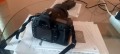 Апарат Nikon D80, снимка 3