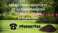 🌸 От тревата до цветята – всичко расте по-добре с БиоТор Чепинци ЕООД!, снимка 1