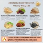 Коледен комплект за коса Bio Rehab, снимка 3