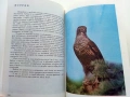 Албум за растения и животни - Н.Боев,С.Петров,П.Кръстев - 1976г., снимка 6