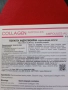 Dr. Green Хидролизиран колаген 10 ml х 6 ампули, снимка 5