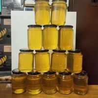 Акациев мед натурален , снимка 1 - Пчелни продукти - 45775721