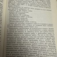 Хронична артериална недостатъчност на крайниците Ив.Зънзов, снимка 9 - Специализирана литература - 45307223