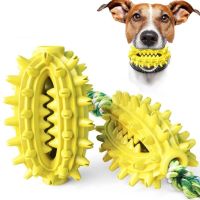 Играчка кактус – четка за зъби за домашни любимци, снимка 1 - Други стоки за животни - 46089909