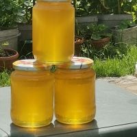 Пчелен мед , снимка 2 - Домашни продукти - 45726660