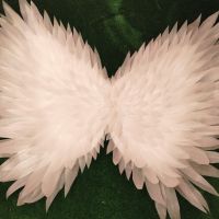 Ангелски крила за фотосесия или декорации, снимка 4 - Декорация за дома - 45614948
