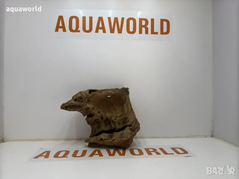 Африканско дърво 5, снимка 1