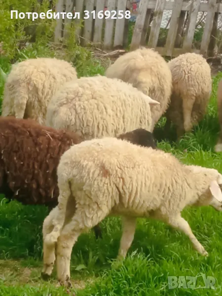 10бр. 2800 Стара Загора , снимка 1