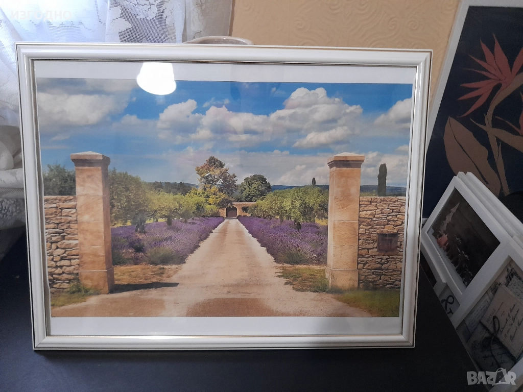 ДВЕ НОВИ КАРТИНИ ПО 40 ЛЕВА, снимка 1