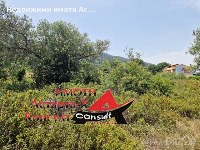 Астарта-Х Консулт продава парцел във Вурвуру Халкидики Ситония Гърция , снимка 1 - Парцели - 45818184