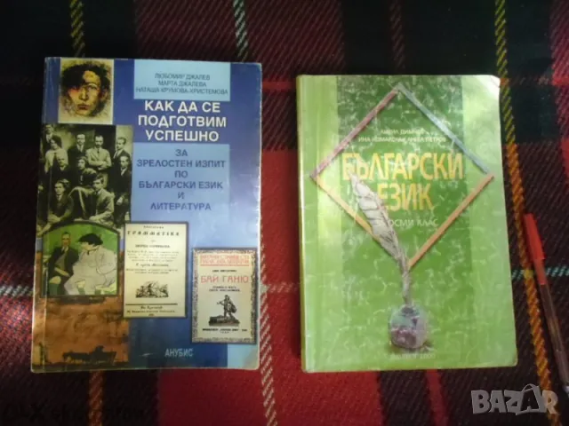 Учебници,учебни помагала за 8 -11 клас, снимка 2 - Учебници, учебни тетрадки - 50149595