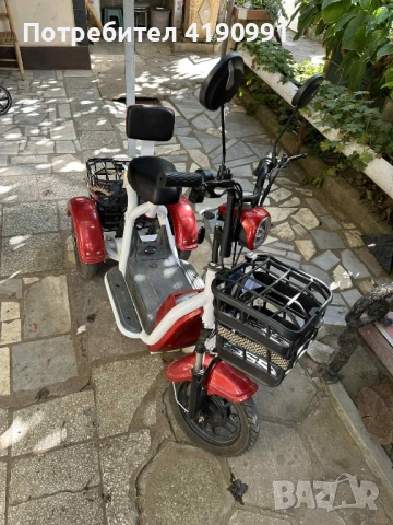 Триколка електрическа