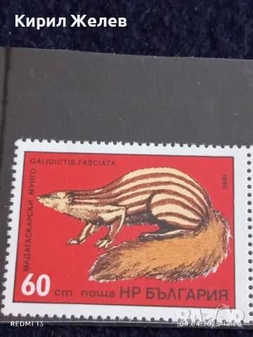 Пощенски марки серия ЖИВОТНИ чисти без печат от соца за КОЛЕКЦИЯ 46689, снимка 2 - Филателия - 49760822