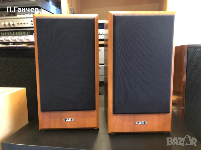 ACOUSTIC ENERGY AEGIS EVO ONE Тонколони, снимка 2 - Тонколони - 53897913
