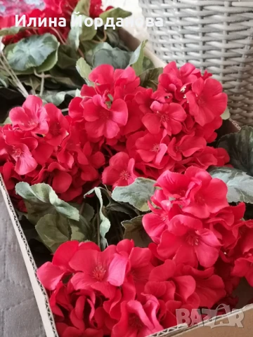 Изкуствено червено мушкато, снимка 3 - Изкуствени цветя - 51038398