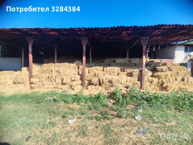 Бали сено, първи откос, реколта 2025, снимка 5 - За селскостопански - 53180973