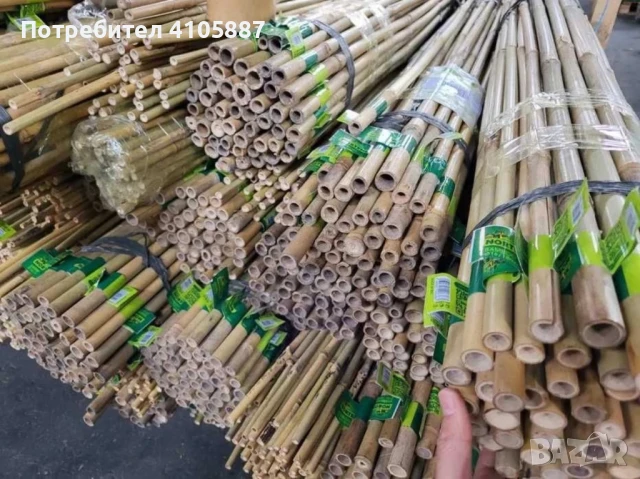 Бамбукови Колчета за Укрепване на Домати - Естествени и Здрави, снимка 2 - Други - 50812640