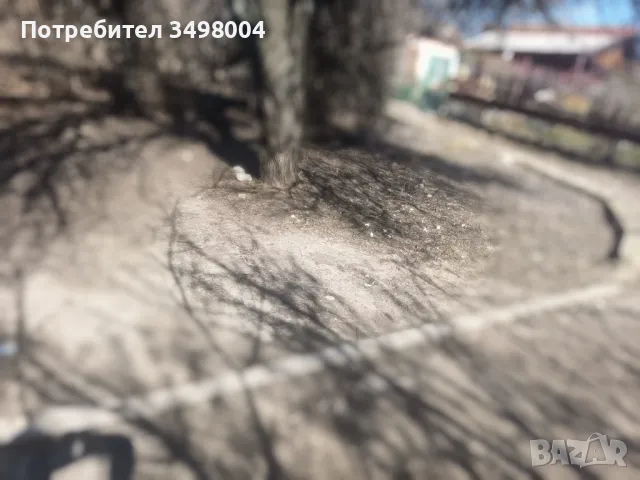 Продавам вила, снимка 10 - Вили - 49627740