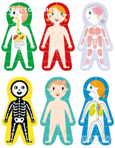 Детски пъзел Banana Panda 6 в 1 - Моето тяло Образователен, снимка 2 - Образователни игри - 53321763