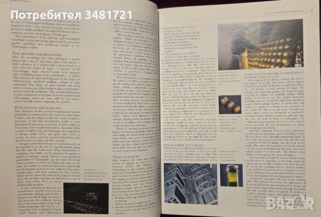 Christie's World Encyclopedia of Champagne and Sparkling Wine, снимка 5 - Енциклопедии, справочници - 53251695