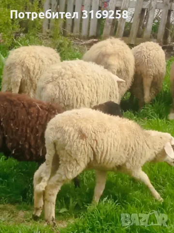 10бр. 2800 Стара Загора , снимка 1