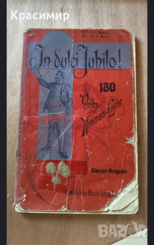 Немска Цитра 51 струни, снимка 3 - Антикварни и старинни предмети - 51387930