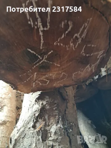 Продавам трупи и дънери от орех., снимка 6 - Строителни материали - 27503658