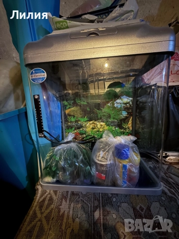 Аквариум с примадлежности, снимка 2 - Аквариуми - 52381511