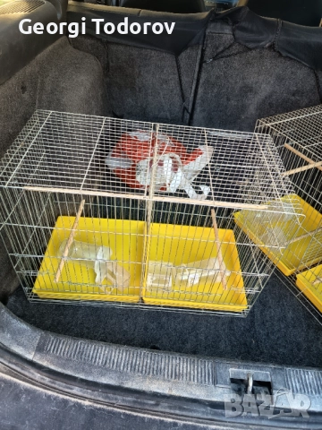 Продавам , снимка 2 - За птици - 52546020