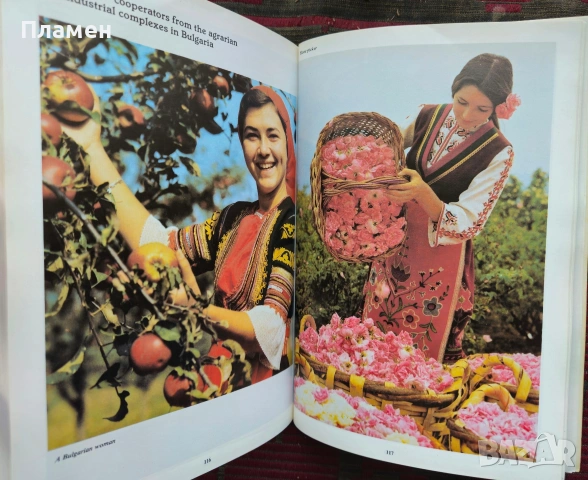 Bulgaria is 1300 years old , снимка 3 - Други - 53899218