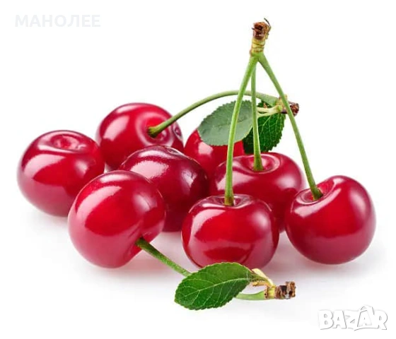 🍒🍒🍒Вишни🍒🪴🪴🍒