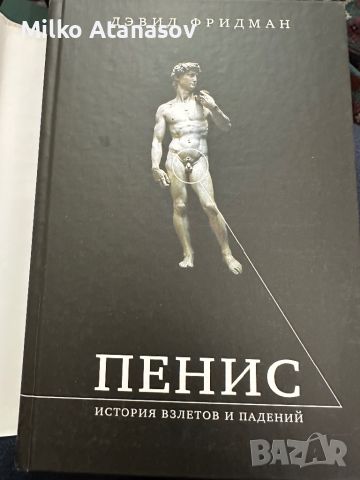 Пенис-Дейвид Фридман, снимка 2 - Специализирана литература - 45334293