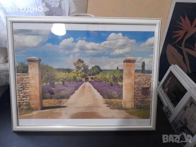 ДВЕ НОВИ КАРТИНИ ПО 40 ЛЕВА