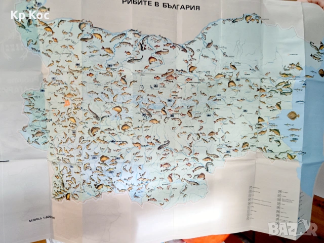 Стари книги по електротехника и рибарство, снимка 13 - Специализирана литература - 53114801