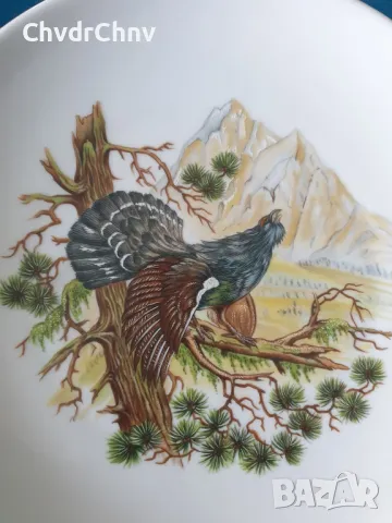 6бр Pordeco Бавария немска колекционерска декоративна порцеланова чиния-картина/диви птици, снимка 4 - Картини - 49114972
