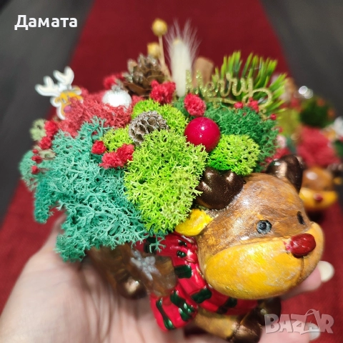 Коледни кашпи със скандинавски мъх 