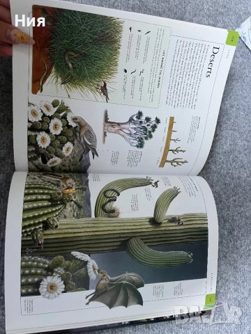 Енциклопедия за Земята на английски+ диск, снимка 9 - Енциклопедии, справочници - 51647935