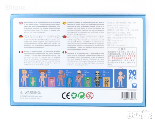 Магнитна дъска с човешкото тяло, снимка 5 - Образователни игри - 52743024