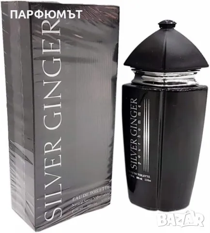 Унисекс Парфюм Silver Ginger by BN, Unisex, Eau de toilette 100ml, снимка 3 - Унисекс парфюми - 49671410